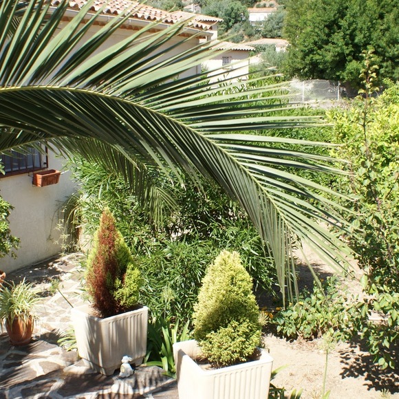 Meet your Posher, Magali - Picture 1 of 1